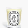 Diptyque Aubépine (Hawthorn) Classic Candle
