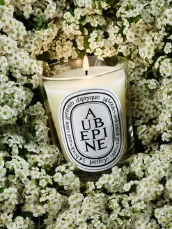 Diptyque Aubépine (Hawthorn) Classic Candle
