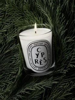 Diptyque Cyprès (Cypress) Small Candle