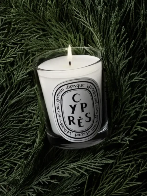 Diptyque Cyprès (Cypress) Small Candle