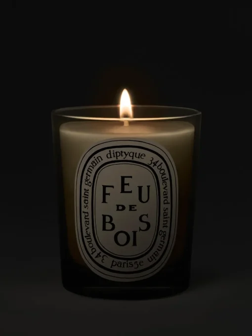 Diptyque Feu de Bois (Wood Fire) Classic Candle