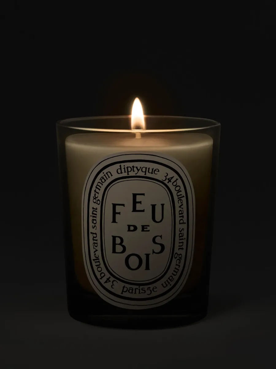 Diptyque Feu de Bois (Wood Fire) Classic Candle