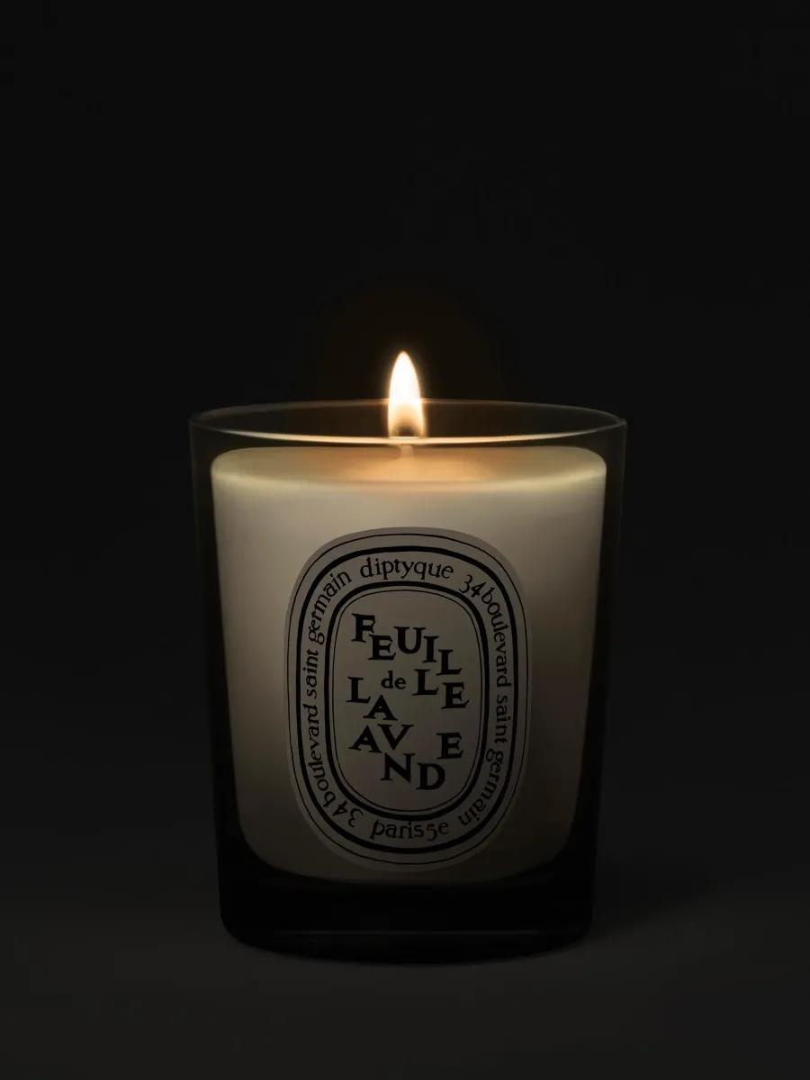 Diptyque Feuille de Lavande (Lavender Leaf) Small Candle