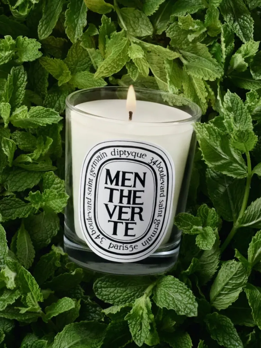 Diptyque Menthe Verte (Spearmint) Classic Candle