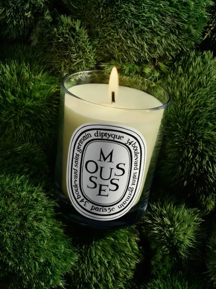 Diptyque Mousses(Moss) Classic Candle